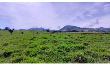 VENTA DE LOTE EN TARSO SUROESTE DE ANTIOQUIA