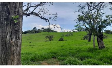 VENTA DE LOTE EN TARSO SUROESTE DE ANTIOQUIA