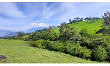 VENTA DE LOTE EN TARSO SUROESTE DE ANTIOQUIA