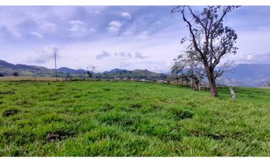 VENTA DE LOTE EN TARSO SUROESTE DE ANTIOQUIA