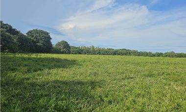 Se Vende Finca de 65 hectáreas en Antón