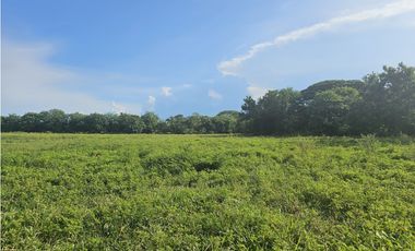 Se Vende Finca de 65 hectáreas en Antón