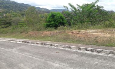 204 Sqm Overlooking Lot for Sale near Talamban Cebu City with Mountain View
