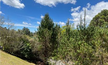 Venta lote en Rionegro sector Llanogrande