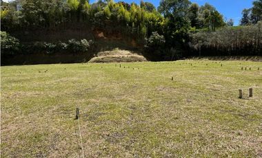 Venta lote en Rionegro sector Llanogrande