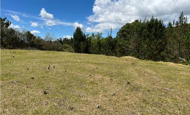 Venta lote en Rionegro sector Llanogrande