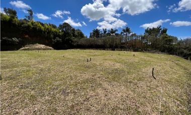 Venta lote en Rionegro sector Llanogrande