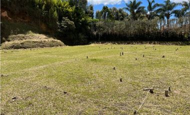 Venta lote en Rionegro sector Llanogrande