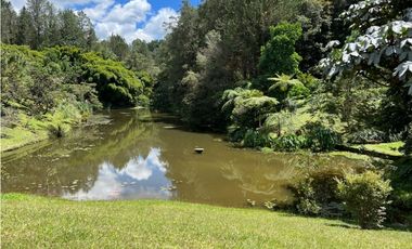 Venta lote en Rionegro sector Llanogrande