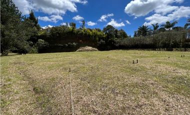 Venta lote en Rionegro sector Llanogrande