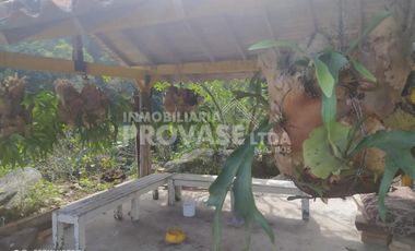 casa en venta en centro. Cod V102474