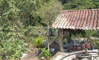 casa en venta en centro. Cod V102474