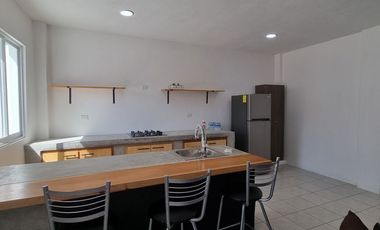 Renta de departamentos nuevos a estrenar
