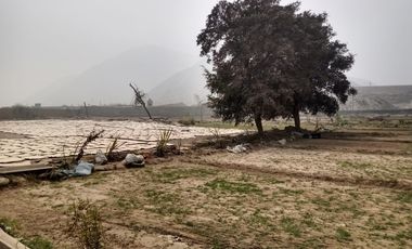 Terreno Industrial En Venta En Av. Cajamarquilla