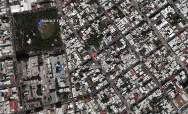 LOCAL EN RENTA SOBRE AV. FLORES MAGÓN | ARLETTE FLORES