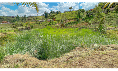 Finca Independiente con Piscina Vía Aeropuerto - Hipódromo