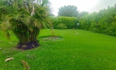 casa en arriendo en pance. Cod A10832