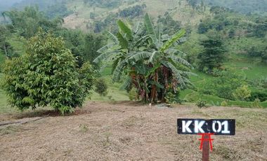 Pesona Alam Pancaniti Bogor - Tanah Kavling Kebun Murah Luas 1000 Meter