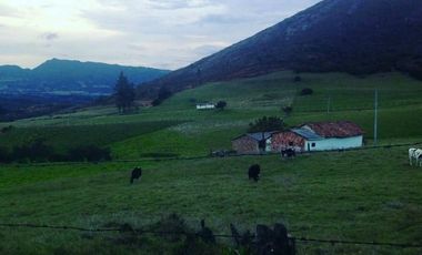 finca en venta en guatavita. Cod V3942