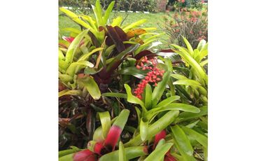 CASA CAMPESTRE EN VENTA EN SANTGUEDA PALESTINA | CASA DE CAMPO