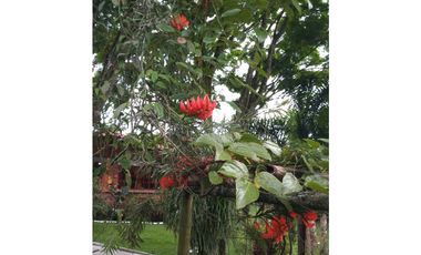 CASA CAMPESTRE EN VENTA EN SANTGUEDA PALESTINA | CASA DE CAMPO