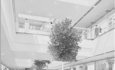 LOCAL COMERCIAL EN RENTA ECATEPEC