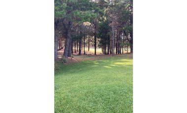 COSTA ESMERALDA  -  GOLF I 208 - ALQUILER