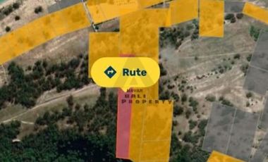 Tanah Murah Dekat Hutan Cemara Laipori