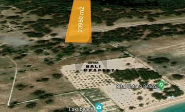 Tanah Murah Dekat Hutan Cemara Laipori