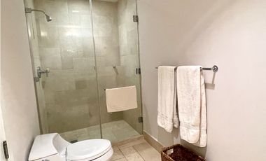 PH PUNTARENA - BUENAVENTURA - VENTA