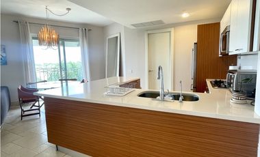 PH PUNTARENA - BUENAVENTURA - VENTA