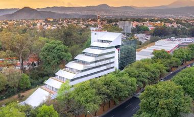 Edificio de oficinas en Renta Col Santa Maria Tepepan, Alcaldia Xochimilco, Ciudad de Mexico,CP16020