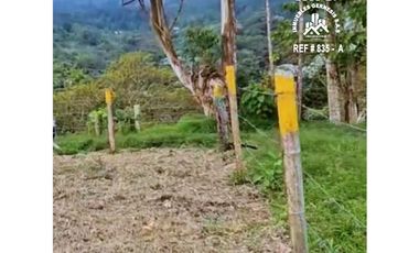 ref 835a vendo lote campestre en 