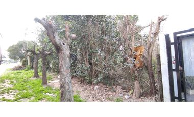 venta terreno 600 m² en  paso del rey