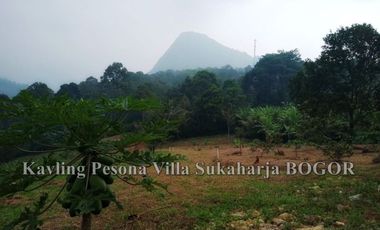 Dijamin Ga Kemahalan Tanah Produktif Kebun Durian