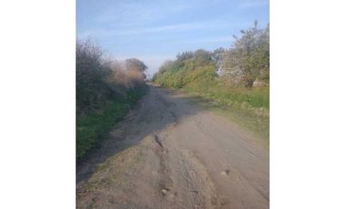 Hectárea En Venta En Atlixco - Huaquechula Puebla