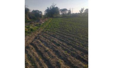 Hectárea En Venta En Atlixco - Huaquechula Puebla