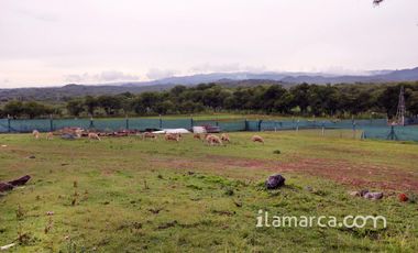 Campo con animales Jose de la Quintana 2 casa equipadas