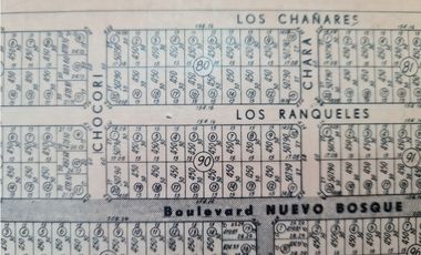 lote a la venta bosque p ramos