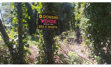 lote a la venta bosque p ramos