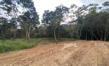 TERRENO EN VENTA EN LA ESTANZUELA VERACRUZ