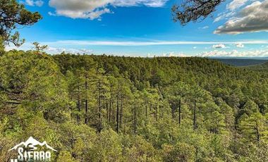 En venta lotes en Fraccionamiento Campestre Sierra Manantial