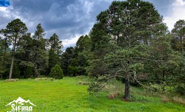 En venta lotes en Fraccionamiento Campestre Sierra Manantial