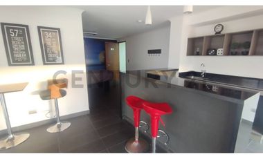 Se Arrienda departamento vista al mar sector sur