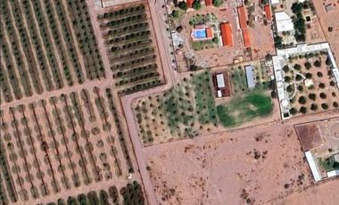 TERRENO EN VENTA EN MONTERREYCILLO, LERDO, DGO.