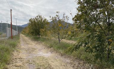 TERRENO EN VENTA EN MONTERREYCILLO, LERDO, DGO.