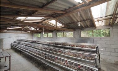 Finca En Girardota Vereda El Totumo