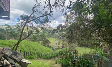 FINCA PARA VENTA EN GUARNE SECTOR LA MEJIA