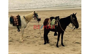 Increíble oportunidad de adquirir un terreno de 450 m² en una de las mejores playas del norte, Los Órganos, Piura. Este terreno es perfecto para desar
