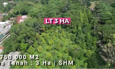 DIJUAL LAHAN PERKEBUNAN - Cigombong, Cisalada, Bogor